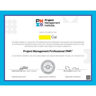 PMP (Project Management Professional)