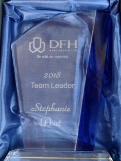 2018 DFH Team Leader