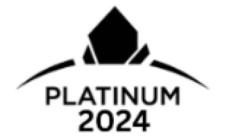 RE/MAX Platinum Award 2024