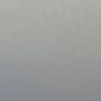 Nicole Irene