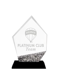 Platinum Team Award